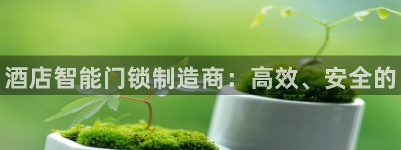 开丰娱乐山67五壹叁八：酒店智能门锁制造商：高效、安全的