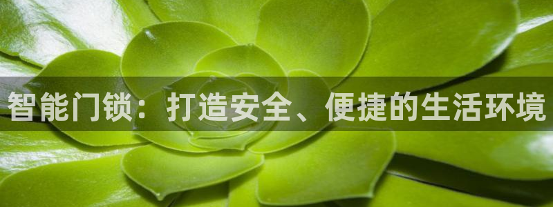 开丰娱乐平台注册：智能门锁：打造安全、便捷的生活环境