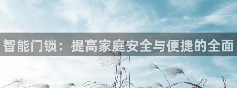 开丰娱乐千67五壹叁八：智能门锁：提高家庭安全与便捷的全面