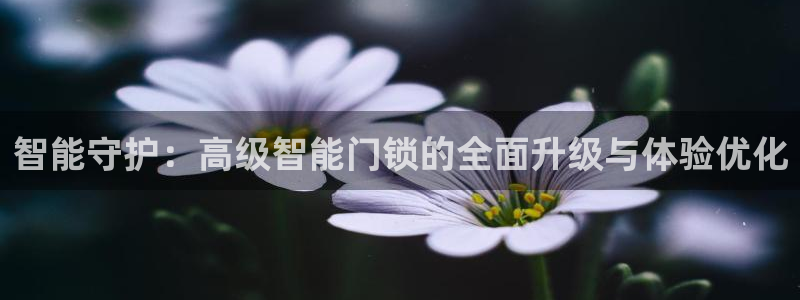 开丰娱乐登入地址在哪：智能守护：高级智能门锁的全面升级与体验