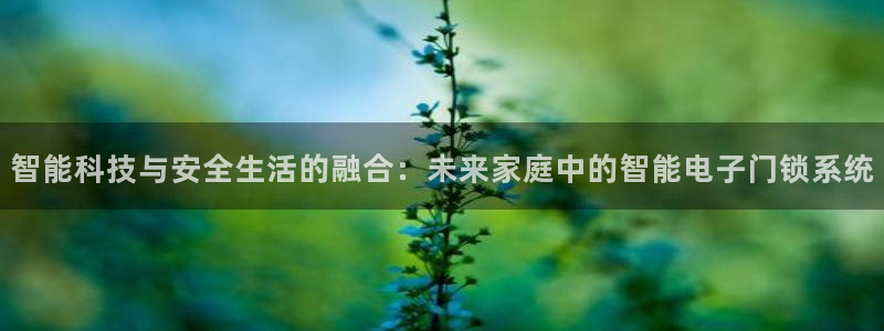 开丰娱乐体育平台：智能科技与安全生活的融合：未来家庭中的智能