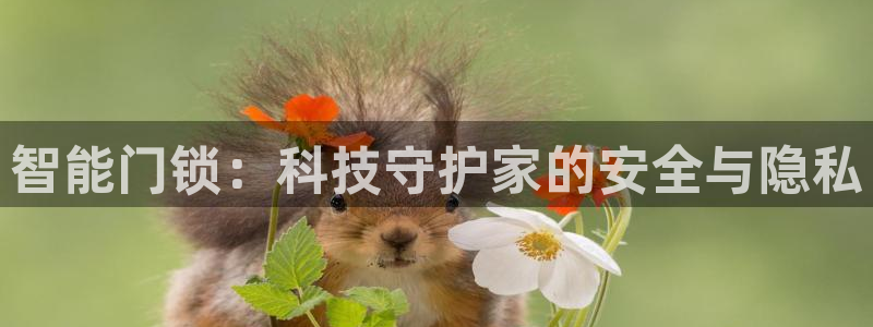 圩丰刚开的娱乐场所：智能门锁：科技守护家的安全与隐私