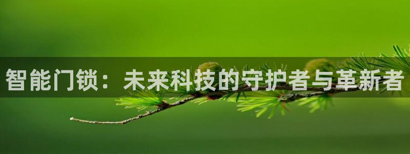 开丰娱乐怎么样：智能门锁：未来科技的守护者与革新者