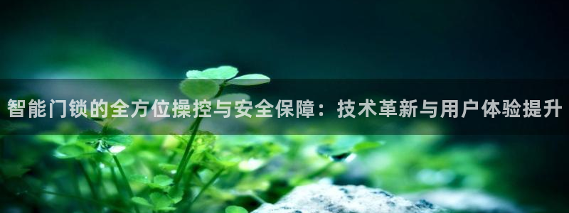 开丰娱乐若七九九：智能门锁的全方位操控与安全保障：技术革新与
