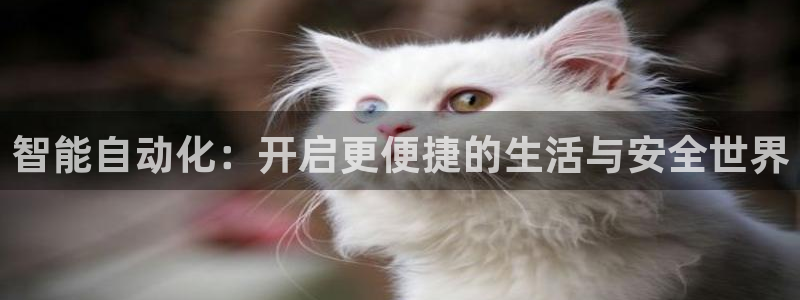 开丰娱乐登入地址在哪里：智能自动化：开启更便捷的生活与安全世