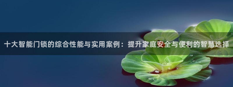 开丰娱乐右7O667：十大智能门锁的综合性能与实用案例：提升