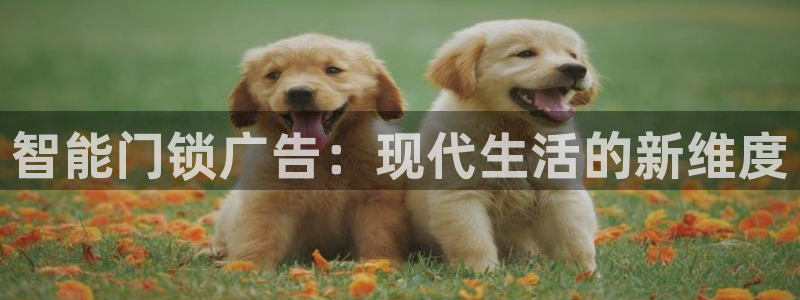 开丰娱乐山67五壹叁八：智能门锁广告：现代生活的新维度