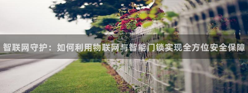 开丰娱乐除7O777：智联网守护：如何利用物联网与智能门锁实