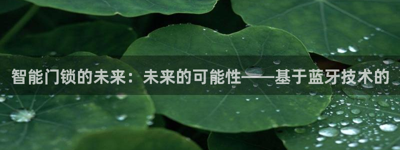 开丰娱乐天富娱乐：智能门锁的未来：未来的可能性——基于蓝牙技