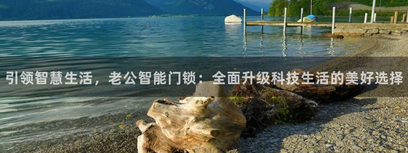 开丰娱乐2登录：引领智慧生活，老公智能门锁：全面升级科技生活