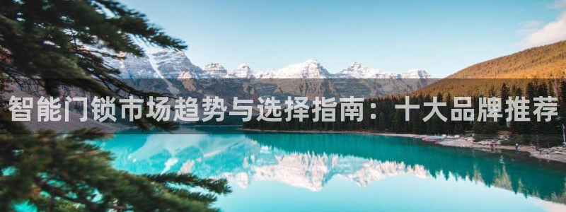 开丰娱乐网站官网下载：智能门锁市场趋势与选择指南：十大品牌推