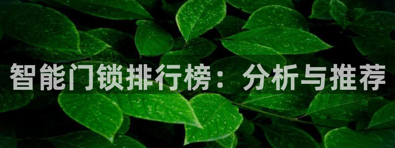开丰娱乐天：智能门锁排行榜：分析与推荐