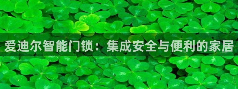 开丰娱乐官网首页：爱迪尔智能门锁：集成安全与便利的家居