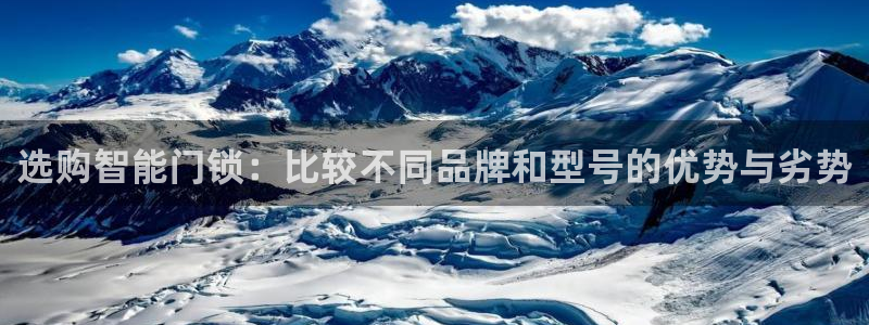开丰娱乐上：选购智能门锁：比较不同品牌和型号的优势与劣势