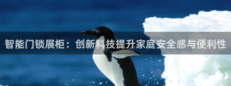 开丰娱乐测速：智能门锁展柜：创新科技提升家庭安全感与便利性