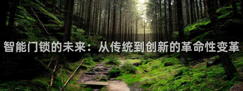 如何注册开丰娱乐账号：智能门锁的未来：从传统到创新的革命性变