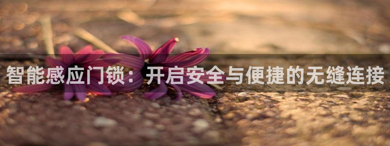 开丰娱乐登入地址是什么：智能感应门锁：开启安全与便捷的无缝连
