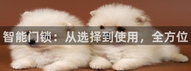 开丰娱乐山67五壹叁八：智能门锁：从选择到使用，全方位
