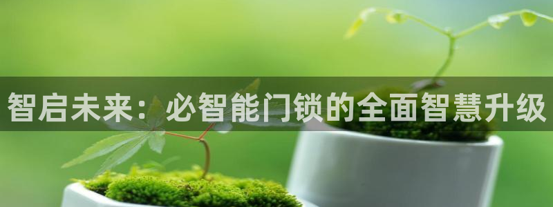 开丰娱乐下载安装：智启未来：必智能门锁的全面智慧升级