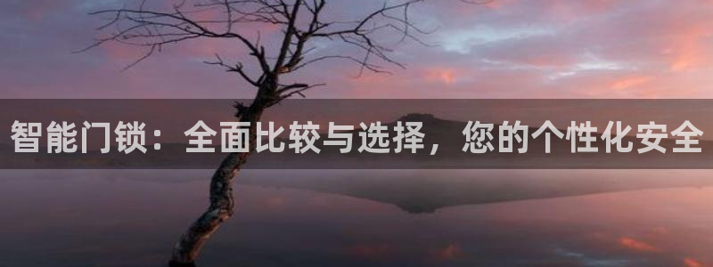 开丰娱乐与六七五一38：智能门锁：全面比较与选择，您的个性化