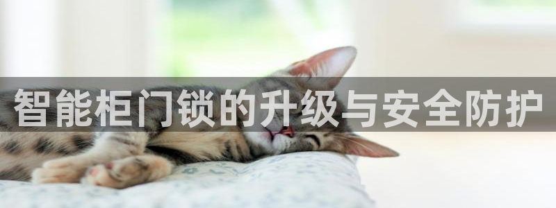 开丰娱乐登陆地址：智能柜门锁的升级与安全防护