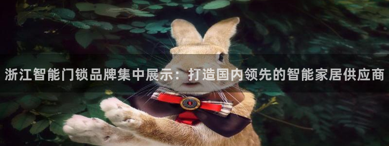 开丰娱乐千67五壹叁八：浙江智能门锁品牌集中展示：打造国内领