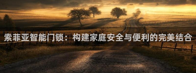 开丰娱乐官网平台：索菲亚智能门锁：构建家庭安全与便利的完美结