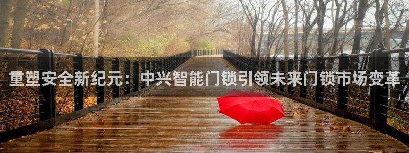 圩丰刚开的娱乐场所：重塑安全新纪元：中兴智能门锁引领未来门锁