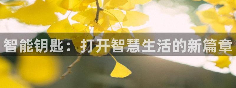 开丰娱乐登录官方网站：智能钥匙：打开智慧生活的新篇章