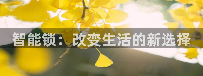 开丰娱乐平台注册：智能锁：改变生活的新选择