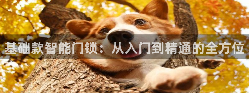 开丰娱乐手机app：基础款智能门锁：从入门到精通的全方位