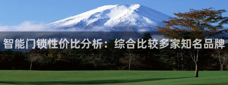 开丰娱乐予 7O935：智能门锁性价比分析：综合比较多家知名