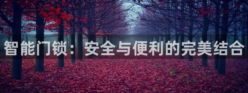 开丰娱乐：智能门锁：安全与便利的完美结合