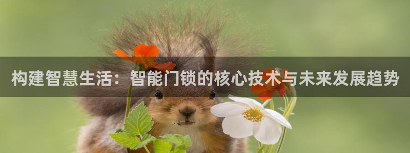 开丰娱乐行业恢复时间：构建智慧生活：智能门锁的核心技术与未来