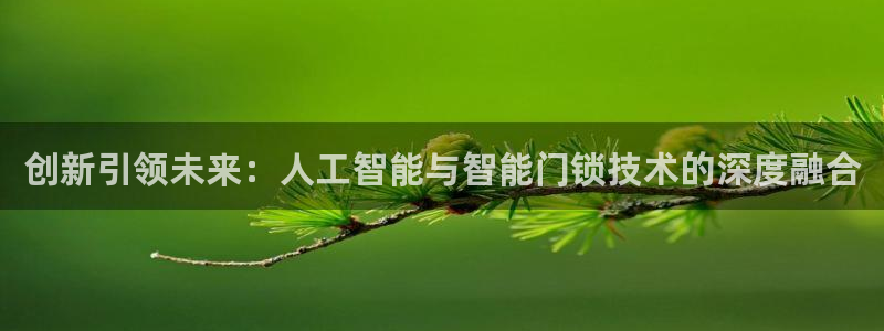 开丰娱乐登录平台：创新引领未来：人工智能与智能门锁技术的深度
