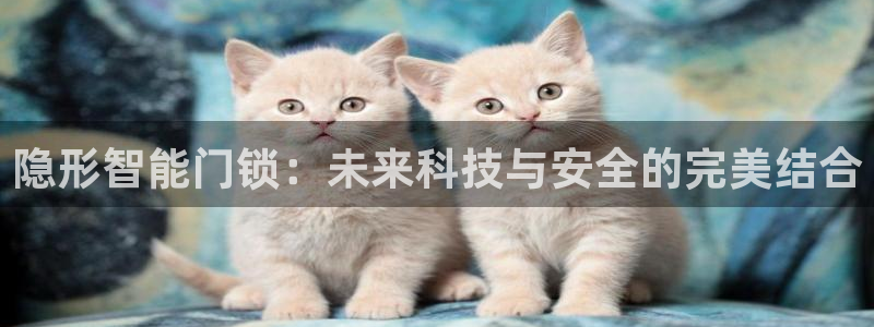 开丰娱乐登入地址在哪查：隐形智能门锁：未来科技与安全的完美结