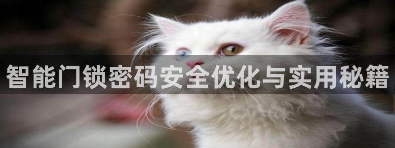 开丰娱乐除7O777：智能门锁密码安全优化与实用秘籍