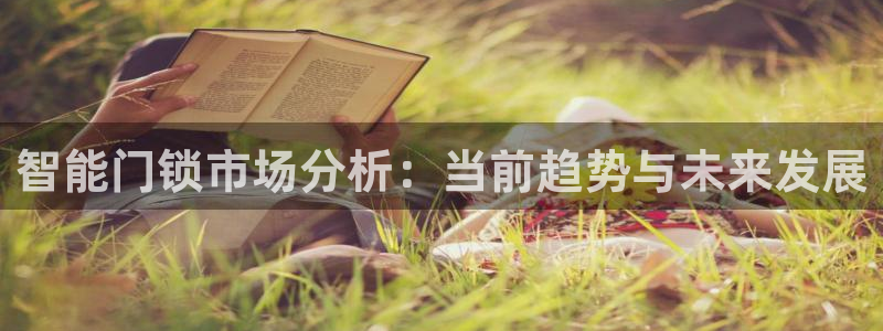 开丰娱乐平台地址：智能门锁市场分析：当前趋势与未来发展