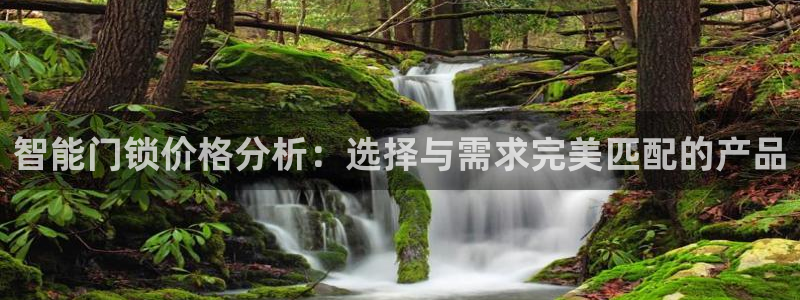 开丰娱乐与六七五一38：智能门锁价格分析：选择与需求完美匹配