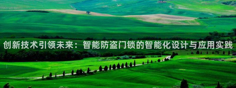 圩丰刚开的娱乐场所：创新技术引领未来：智能防盗门锁的智能化设