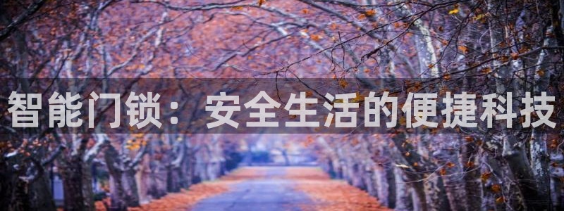 开丰娱乐登录注册：智能门锁：安全生活的便捷科技