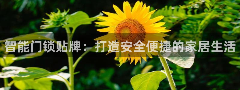 开丰娱乐不开了吗：智能门锁贴牌：打造安全便捷的家居生活