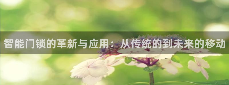 开丰娱乐地址：智能门锁的革新与应用：从传统的到未来的移动