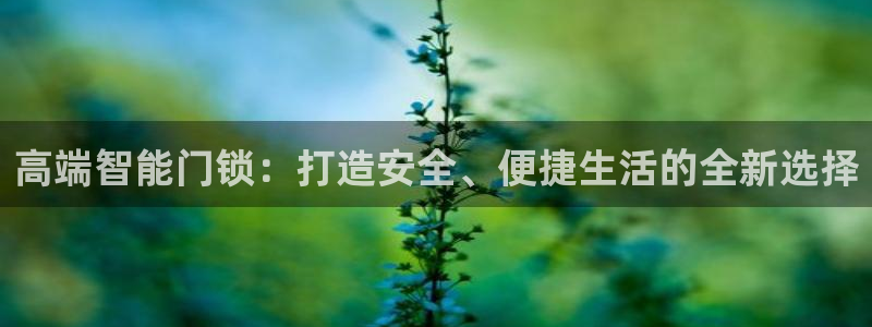 开丰娱乐登录注册：高端智能门锁：打造安全、便捷生活的全新选择