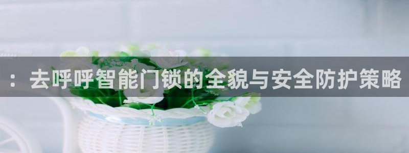 开丰娱乐最新活动：：去呼呼智能门锁的全貌与安全防护策略