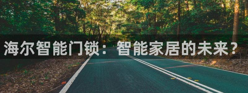 开丰娱乐注册自判官333OO：海尔智能门锁：智能家居的未来？