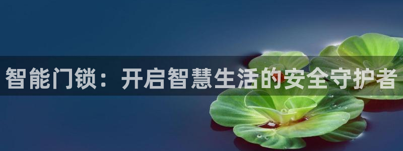 开丰娱乐登录平台下载：智能门锁：开启智慧生活的安全守护者