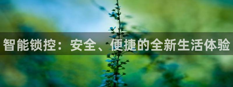 开丰娱乐网站官网首页：智能锁控：安全、便捷的全新生活体验