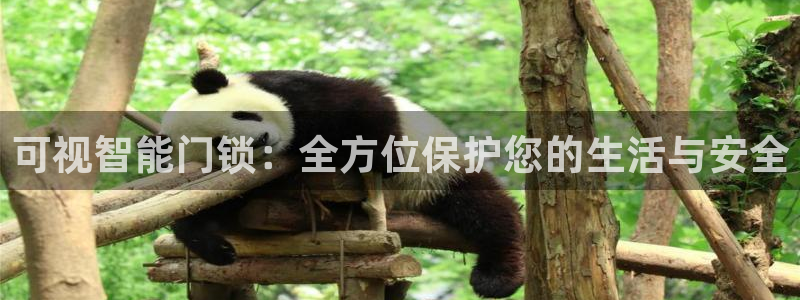 开丰娱乐更多平台：可视智能门锁：全方位保护您的生活与安全