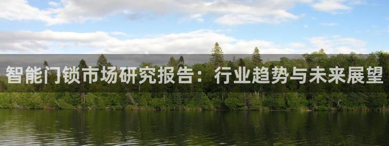 开丰娱乐主管家去判官333OO：智能门锁市场研究报告：行业趋